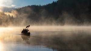 Salon Honorable Mention